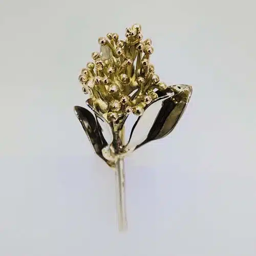 Foto 16-12-2020, 20 43 01